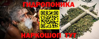 крисы Малгобек
