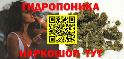 крисы Малгобек